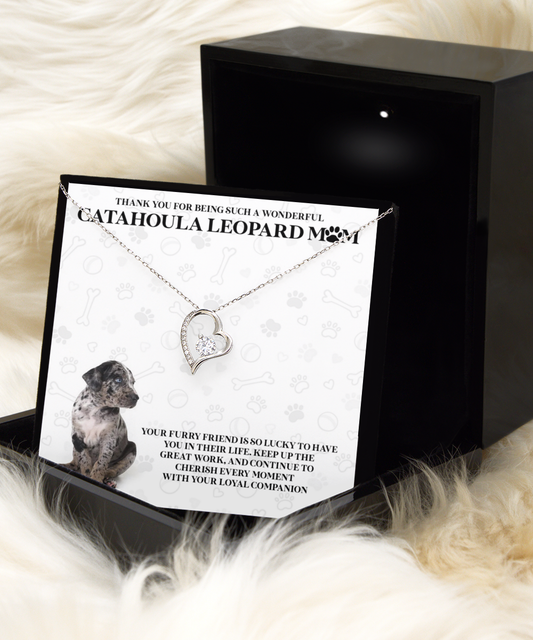 What To Buy For A Catahoula Leopard Dog Mom?