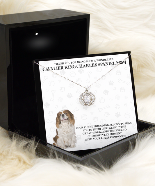 What To Buy For A Cavalier King Charles Spaniel Dog Mom?