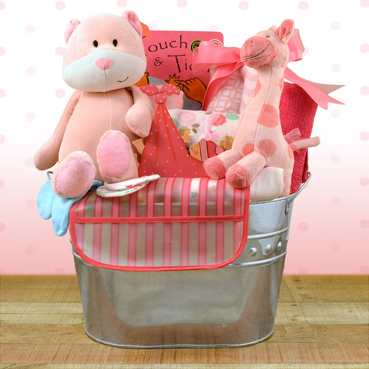 Welcome Home: Baby Girl Gift Basket