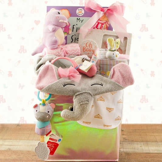 Precious Baby: Baby Girl Gift Basket