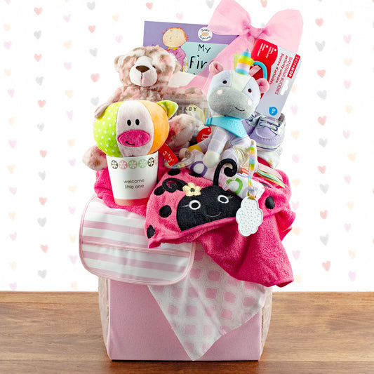 Congratulations: Baby Girl Gift Basket